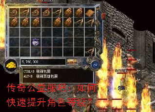 传奇公益服吧:如何快速提升角色等级? 传奇公益服吧:如何快速提升角色等级?