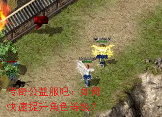 传奇公益服吧:如何快速提升角色等级? 传奇公益服吧:如何快速提升角色等级?