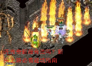 开传奇新服合法吗?新头上路必看避坑指南 开传奇新服合法吗?新头上路必看避坑指南