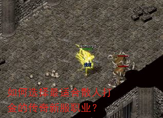 如何选择最适合散人打金的传奇新服职业? 如何选择最适合散人打金的传奇新服职业?