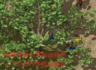 新服传奇为何如此吸引人?玩法与本质全解析 新服传奇为何如此吸引人?玩法与本质全解析