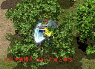 如何快速提升红颜传奇角色等级? 如何快速提升红颜传奇角色等级?