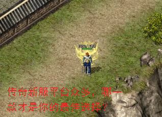 传奇新服平台众多,哪一款才是你的最佳选择? 传奇新服平台众多,哪一款才是你的最佳选择?
