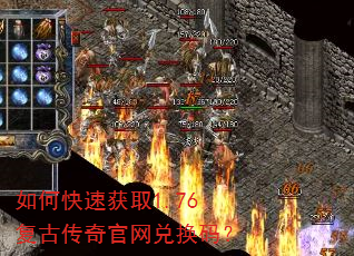 ��ο��ٻ�ȡ1.76���Ŵ�������һ��룿