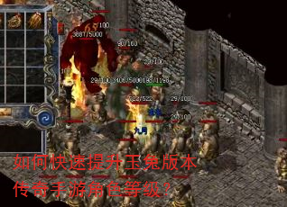 如何快速提升玉兔版本传奇手游角色等级? 如何快速提升玉兔版本传奇手游角色等级?
