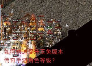 如何快速提升玉兔版本传奇手游角色等级? 如何快速提升玉兔版本传奇手游角色等级?