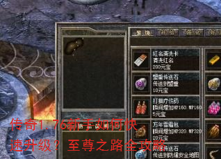 传奇1.76新手如何快速升级?至尊之路全攻略 传奇1.76新手如何快速升级?至尊之路全攻略