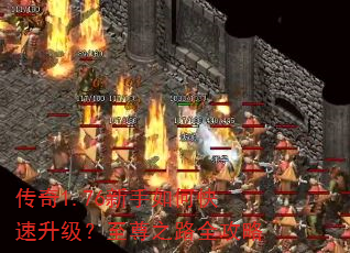 传奇1.76新手如何快速升级?至尊之路全攻略 传奇1.76新手如何快速升级?至尊之路全攻略