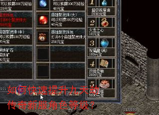如何快速提升九天劫传奇新服角色等级? 如何快速提升九天劫传奇新服角色等级?