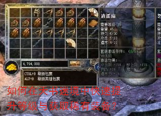 如何在天书迷境中快速提升等级与获取稀有装备? 如何在天书迷境中快速提升等级与获取稀有装备?