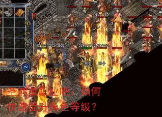 圣鸿单职业吧:如何快速提升角色等级? 圣鸿单职业吧:如何快速提升角色等级?