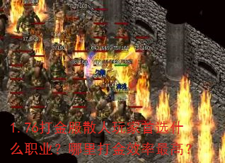 1.76打金服散人玩家首选什么职业?哪里打金效率最高? 1.76打金服散人玩家首选什么职业?哪里打金效率最高?