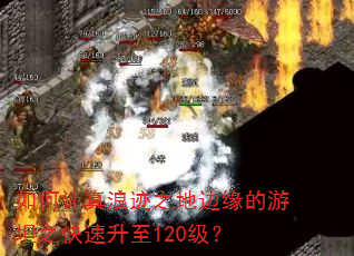 如何让真浪迹之地边缘的游坦之快速升至120级? 如何让真浪迹之地边缘的游坦之快速升至120级?