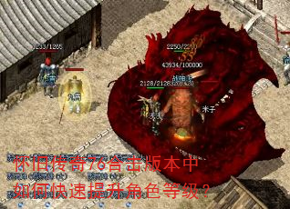 怀旧传奇76合击版本中如何快速提升角色等级? 怀旧传奇76合击版本中如何快速提升角色等级?