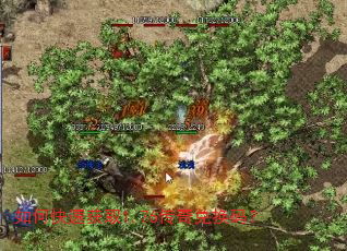 ��ο��ٻ�ȡ1.76����һ��룿