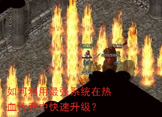 ���������ǿϵͳ����Ѫ�����п���������