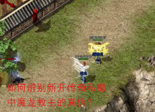 如何辨别新开传奇私服中魔龙教主的真伪? 如何辨别新开传奇私服中魔龙教主的真伪?