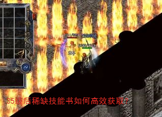 35级后稀缺技能书如何高效获取? 35级后稀缺技能书如何高效获取?