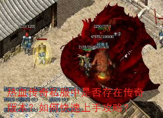 热血传奇私服中是否存在传奇版本?如何快速上手攻略? 热血传奇私服中是否存在传奇版本?如何快速上手攻略?