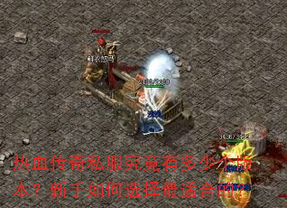 热血传奇私服究竟有多少个版本?新手如何选择最适合的? 热血传奇私服究竟有多少个版本?新手如何选择最适合的?