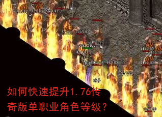 ��ο�������1.76����浥ְҵ��ɫ�ȼ���