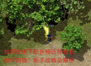 如何快速下载并畅玩传奇私服怀旧服?新手攻略全解析 如何快速下载并畅玩传奇私服怀旧服?新手攻略全解析