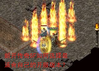 �¿�����SF���ѡ�����ʺ��Լ��Ŀ����汾��