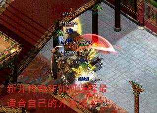 �¿�����SF���ѡ�����ʺ��Լ��Ŀ����汾��
