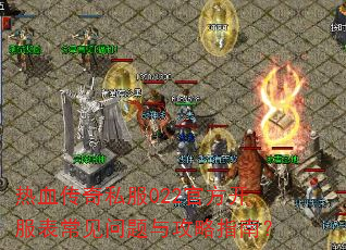��Ѫ����˽��022�ٷ����������������빥��ָ�ϣ�
