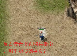 复古传奇书页购买指南,哪里能买到书页? 复古传奇书页购买指南,哪里能买到书页?