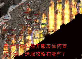 最新传奇私服开服表如何查询?新手选服攻略有哪些? 最新传奇私服开服表如何查询?新手选服攻略有哪些?