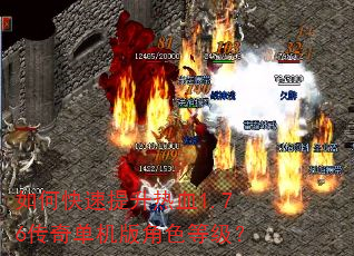 如何快速提升热血1.76传奇单机版角色等级? 如何快速提升热血1.76传奇单机版角色等级?
