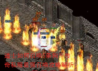 道士如何召唤5条狗?传奇私服最强召唤攻略解析 道士如何召唤5条狗?传奇私服最强召唤攻略解析