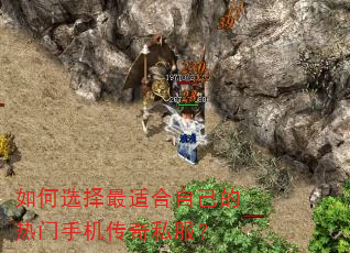 如何选择最适合自己的热门手机传奇私服? 如何选择最适合自己的热门手机传奇私服?