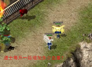 道士每升一级增加多少血量? 道士每升一级增加多少血量?