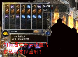 如何通过开设热血传奇私服实现盈利? 如何通过开设热血传奇私服实现盈利?