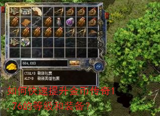 如何快速提升金币传奇1.76的等级和装备? 如何快速提升金币传奇1.76的等级和装备?