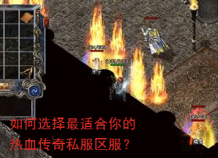 ���ѡ�����ʺ������Ѫ����˽��������