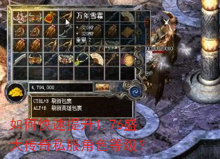 如何快速提升1.76盛大传奇私服角色等级? 如何快速提升1.76盛大传奇私服角色等级?