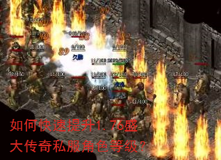 如何快速提升1.76盛大传奇私服角色等级? 如何快速提升1.76盛大传奇私服角色等级?