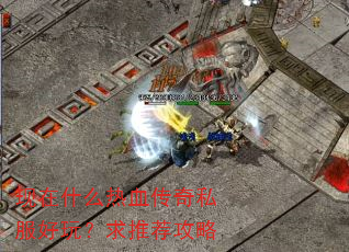 ����ʲô��Ѫ����˽�����棿���Ƽ�����