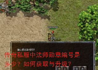 传奇私服中法师勋章编号是多少?如何获取与升级? 传奇私服中法师勋章编号是多少?如何获取与升级?