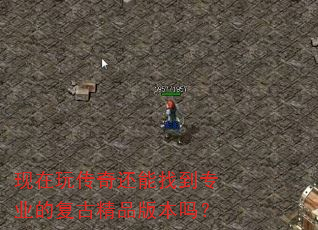 现在玩传奇还能找到专业的复古精品版本吗? 现在玩传奇还能找到专业的复古精品版本吗?