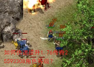 如何快速提升1.76传奇25593308角色等级? 如何快速提升1.76传奇25593308角色等级?