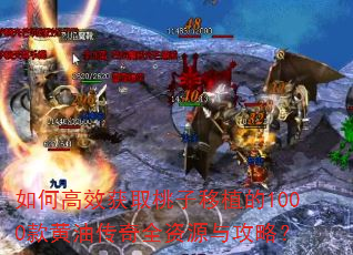 如何高效获取桃子移植的1000款黄油传奇全资源与攻略? 如何高效获取桃子移植的1000款黄油传奇全资源与攻略?