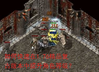 如何快速在1.76精品复古版本中提升角色等级? 如何快速在1.76精品复古版本中提升角色等级?