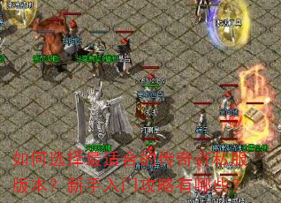 如何选择最适合的传奇sf私服版本?新手入门攻略有哪些? 如何选择最适合的传奇sf私服版本?新手入门攻略有哪些?