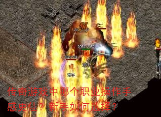 ������Ϸ���ĸ�ְҵ�����ָи��ѣ��������ѡ��