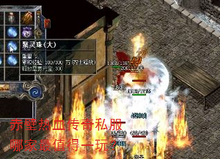 �����Ѫ����˽���ļ���ֵ��һ�棿