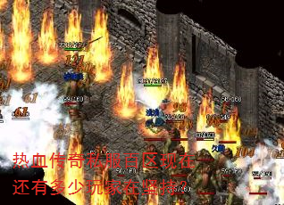 热血传奇私服百区现在还有多少玩家在坚持? 热血传奇私服百区现在还有多少玩家在坚持?